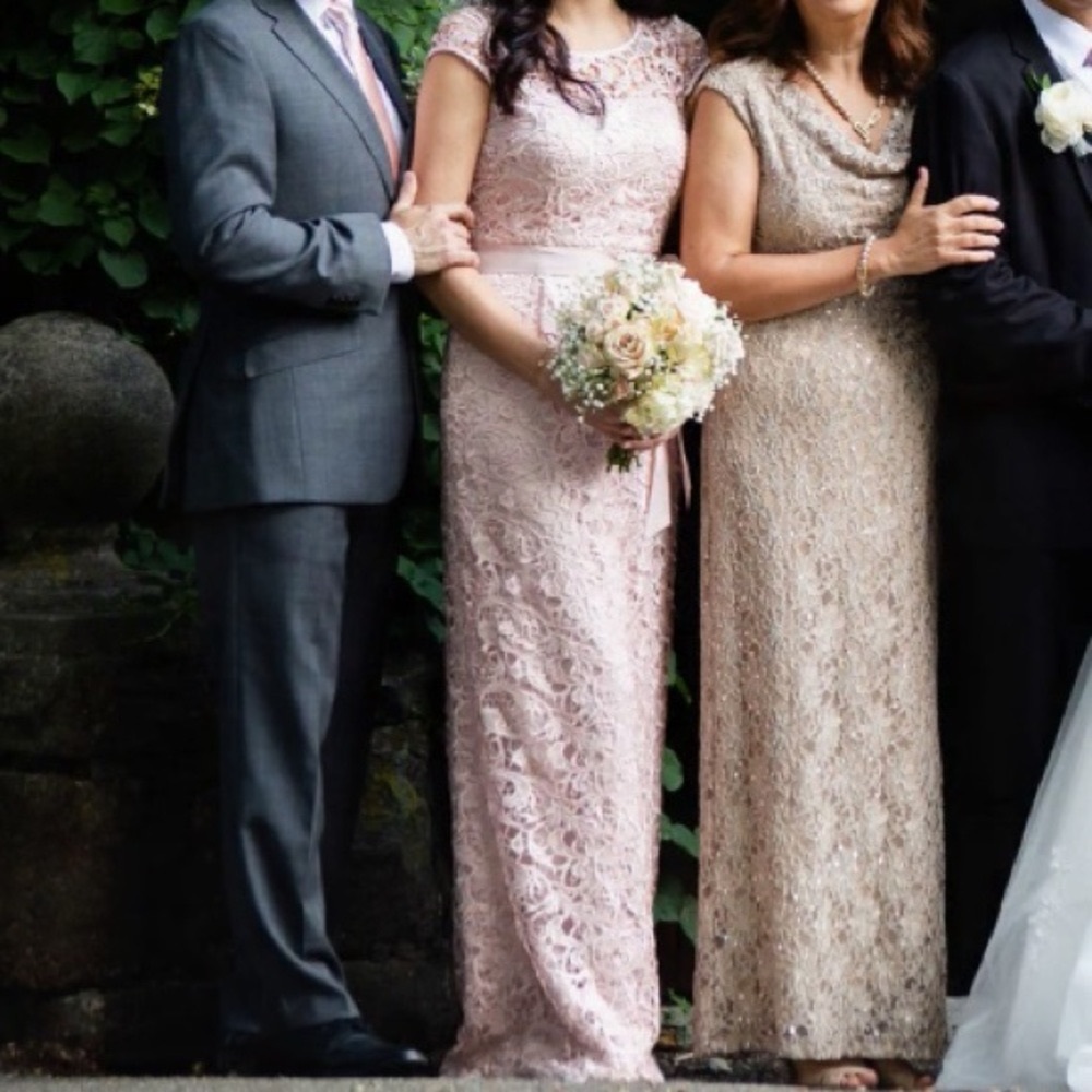 Adrianna Papel Pink Maxi  Dress Gown,  Bridesmaids, wedding guest. Sz 4